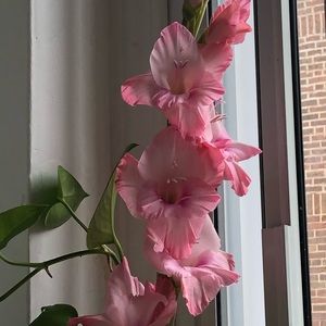 Meet your Posher, Clara